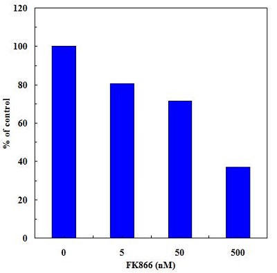 Effect of FK866 on NAMPT activity