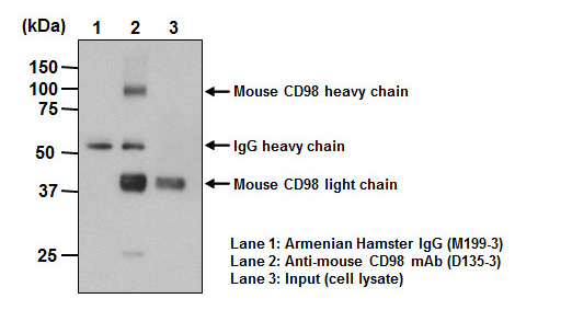 Hamster IgG (isotype control)（Monoclonal, ttko2） | Antibody | Life Sience -ASIA-