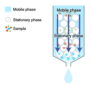 Mobile phase and stationary phase