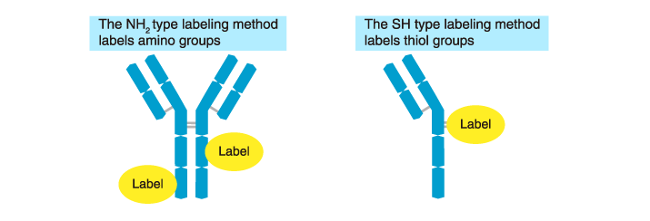 Type of labeling
