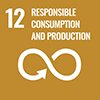 SDGs icon 12